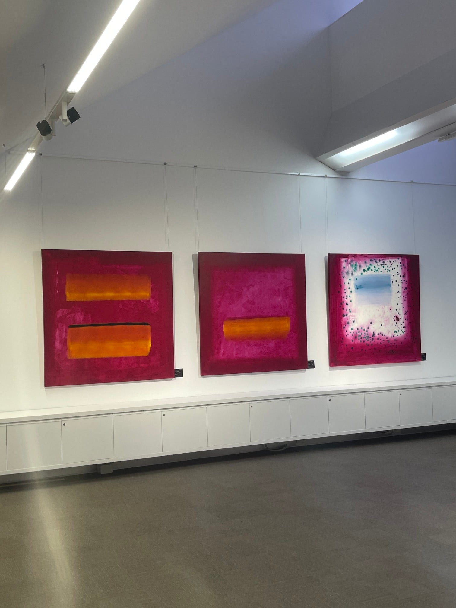 Colours within nature, exhibition photo